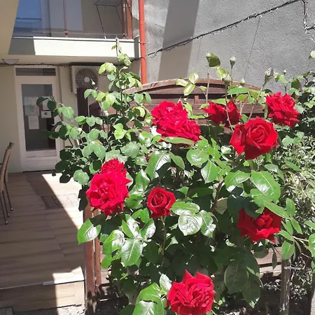 Orchidea Ii 3* Hévíz