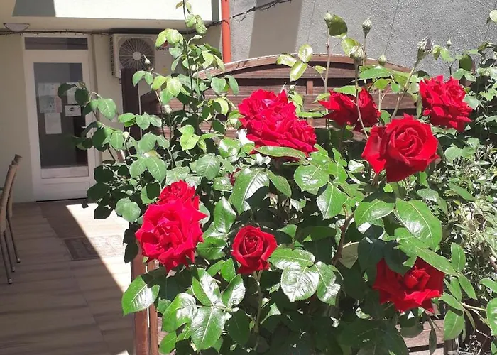 Orchidea Ii 3* Héviz